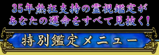 35年熱狂支持の霊視鑑定があなたの運命をすべて見抜く！　特別鑑定メニュー