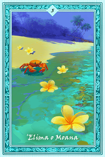 Moana�Υ⥢��/���ϡ�5