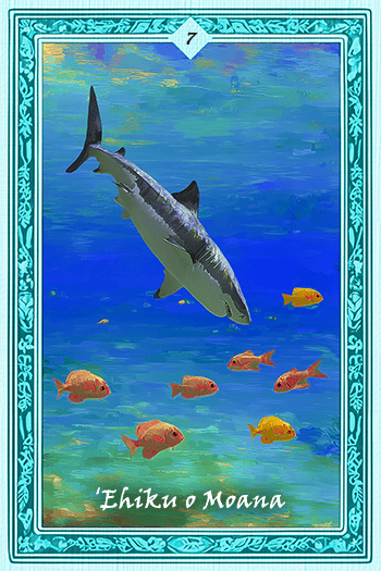 Moana�Υ⥢��/���ϡ�7