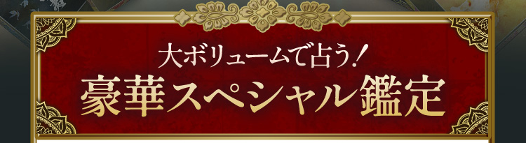 大ボリュームで占う!豪華スペシャル鑑定