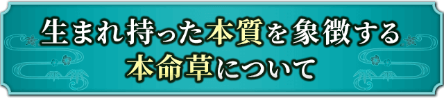生まれ持った本質を象徴する本命草について
