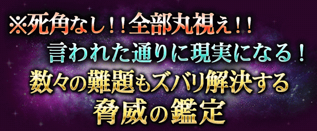 凄的中 本物の霊力で徹底解剖 あなたという人間 パーフェクト霊視 Cocoloni 本格占い館