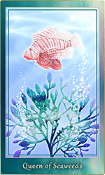 グランドブルータロット｜シーウィード