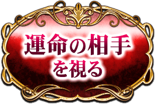 運命の相手を視る