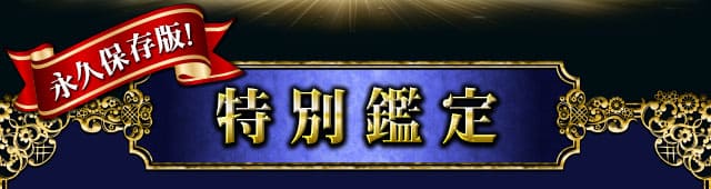 永久保存版　特別鑑定