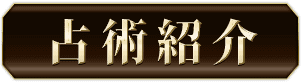 占術紹介
