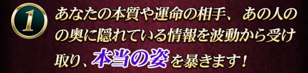 あなたの本質や運命の相手、あの人の心の奥に隠れている情報を波動から受け取り、本当の姿を暴きます！