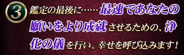 鑑定の最後に……最速であなたの願いをより成就させるための、浄化の儀を行い幸せを呼び込みます！