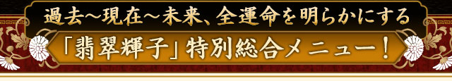 過去?現在?未来、全運命を明らかにする　「翡翠輝子」特別総合メニュー！