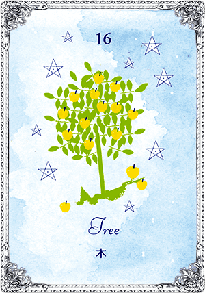 Tree（木）