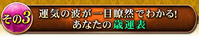 その3　運気の波が一目瞭然でわかる！　あなたの歳運表