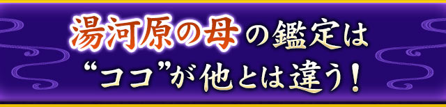 湯河原の母の鑑定は“ココ”が他とは違う！