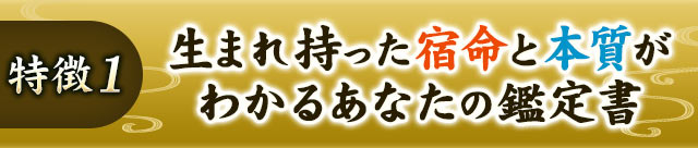 特徴1 生まれ持った宿命と本質がわかるあなたの鑑定書