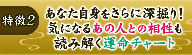 特徴2 あなた自身をさらに深掘り！　気になるあの人との相性も読み解く運命チャート