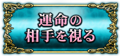 運命の相手を視る