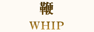 鞭 WHIP
