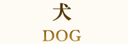犬 DOG