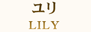 ユリ LILY