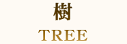 樹 TREE