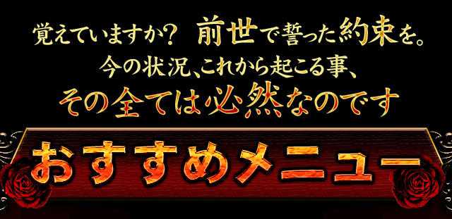 覚えていますか？前世で誓った約束を。今の状況、これから起こる事、その全ては必然なおです　おすすめメニュー