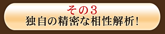 その3　独自の精密な相性解析！