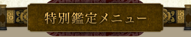特別鑑定メニュー