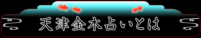 天津金木占いとは