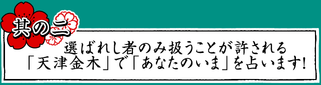 選ばれし者のみ扱うことが許される「天津金木」で「あなたのいま」を占います！