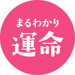 まるわかり運命